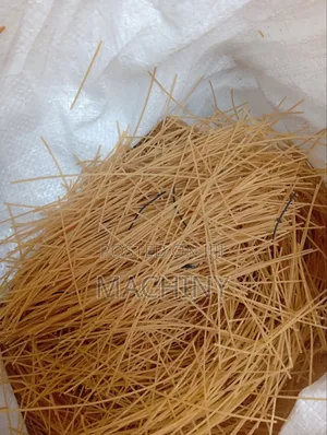 Dog and Cat Spaghetti