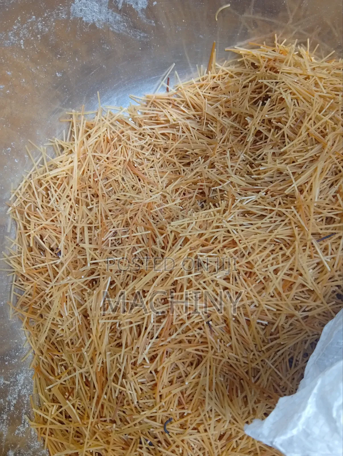 Dog and Cat Spaghetti