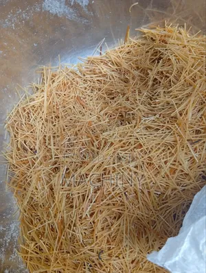 Dog and Cat Spaghetti