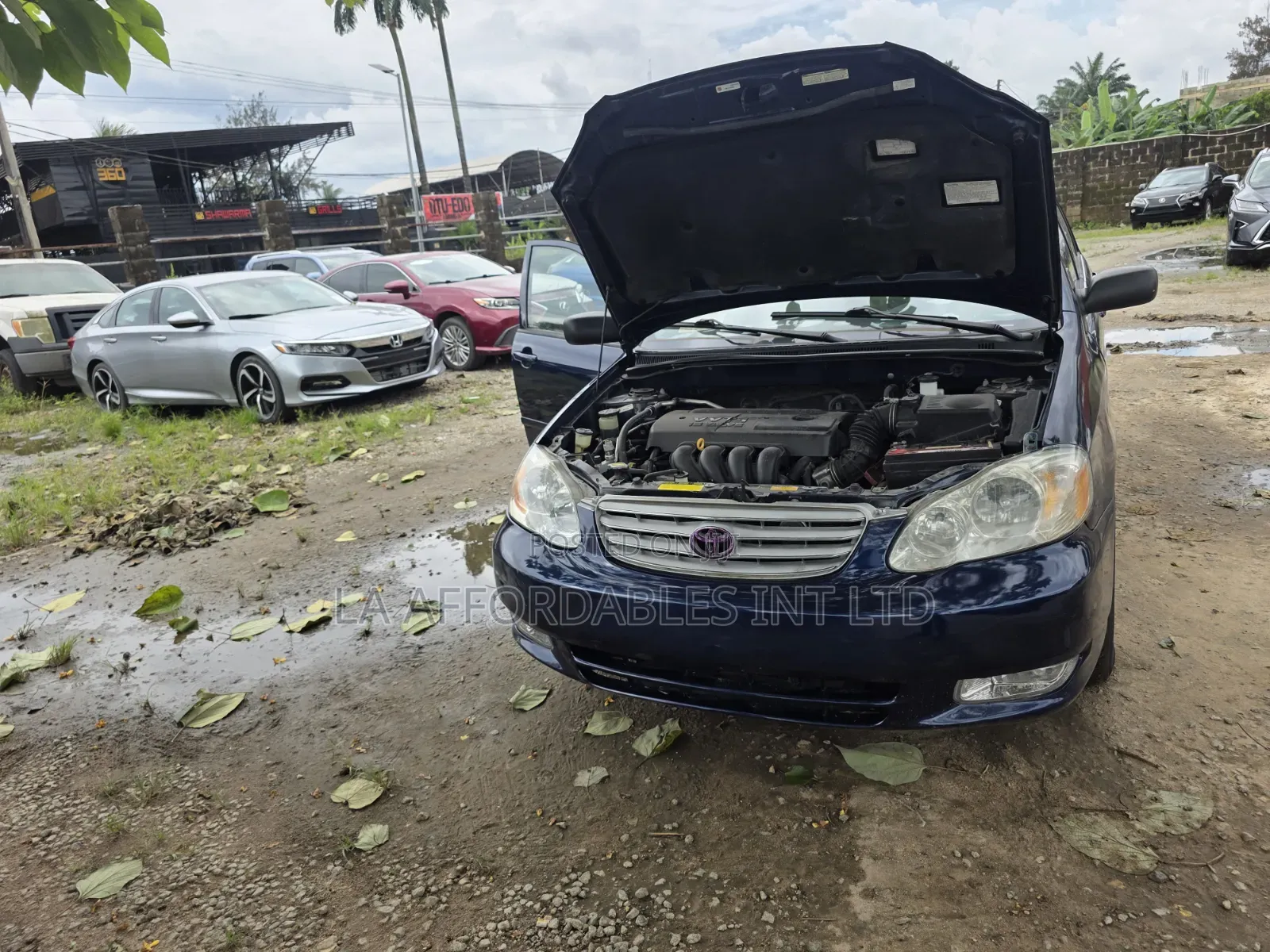 Toyota Corolla LE 2005 Blue
