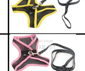 Eb Egr Airness Mesh Harness and Lead Set Medium