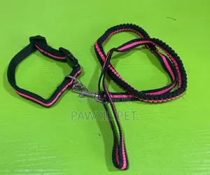 Elastic Lead and Collar 1.5*120cm
