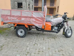 New Royal Racer 2026 Orange