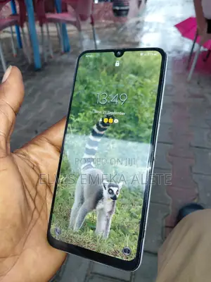 Samsung Galaxy A30 64 GB Gray