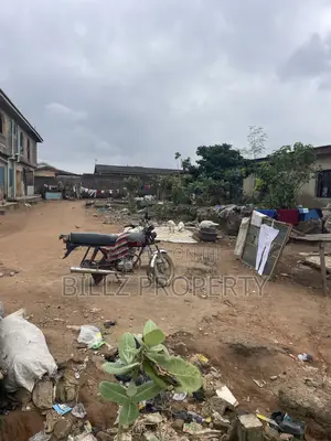 A Complete Half Plot in a Serene Environment