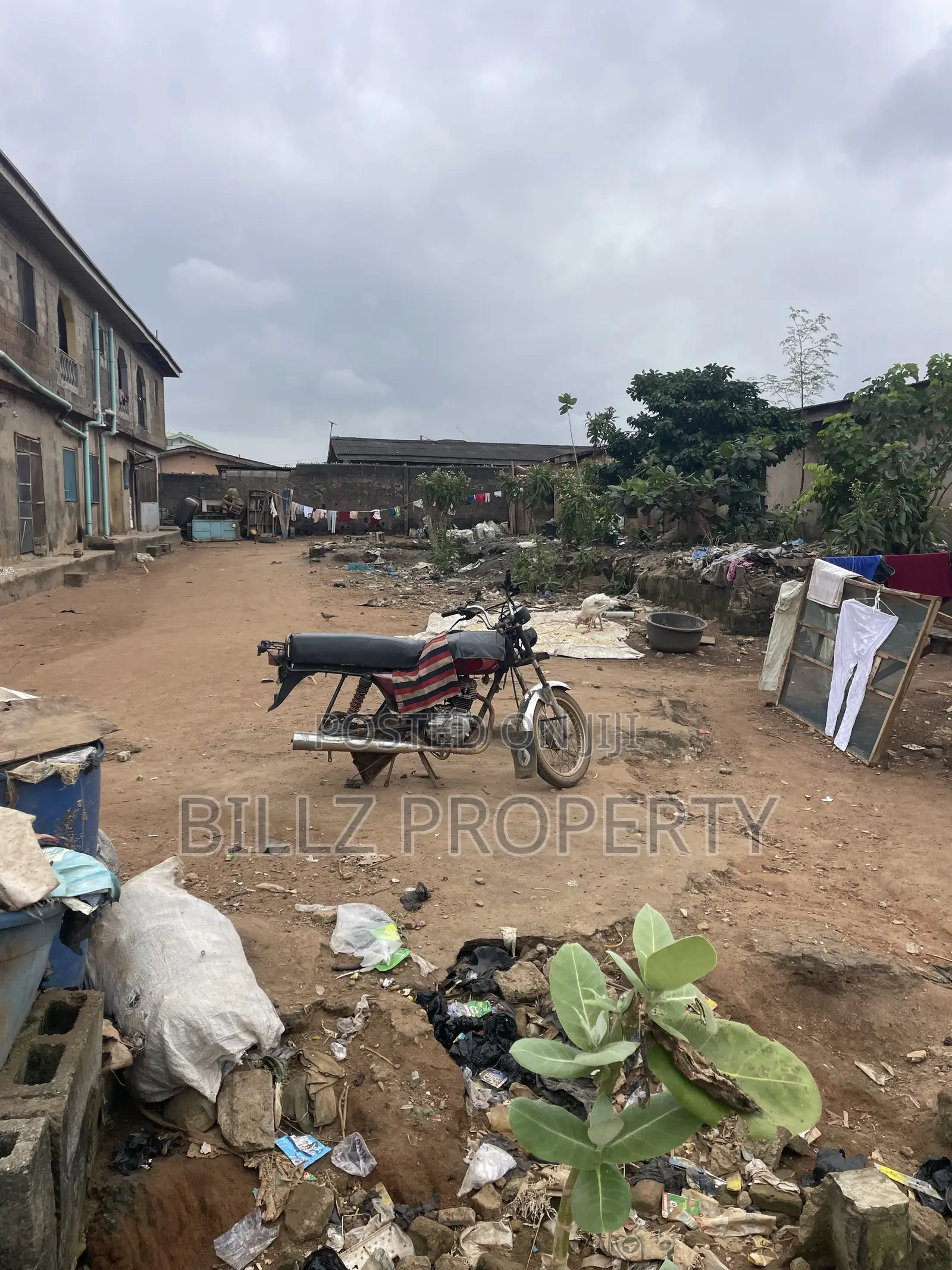 A Complete Half Plot in a Serene Environment