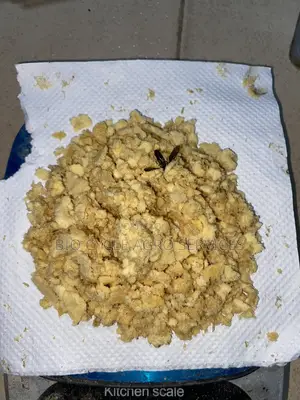 Black Soldier Fly Eggs (Neonates Also Available at Different Prices)