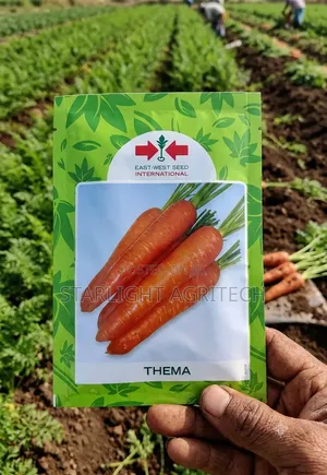 Theema Carrot Seed | East - West Seeds