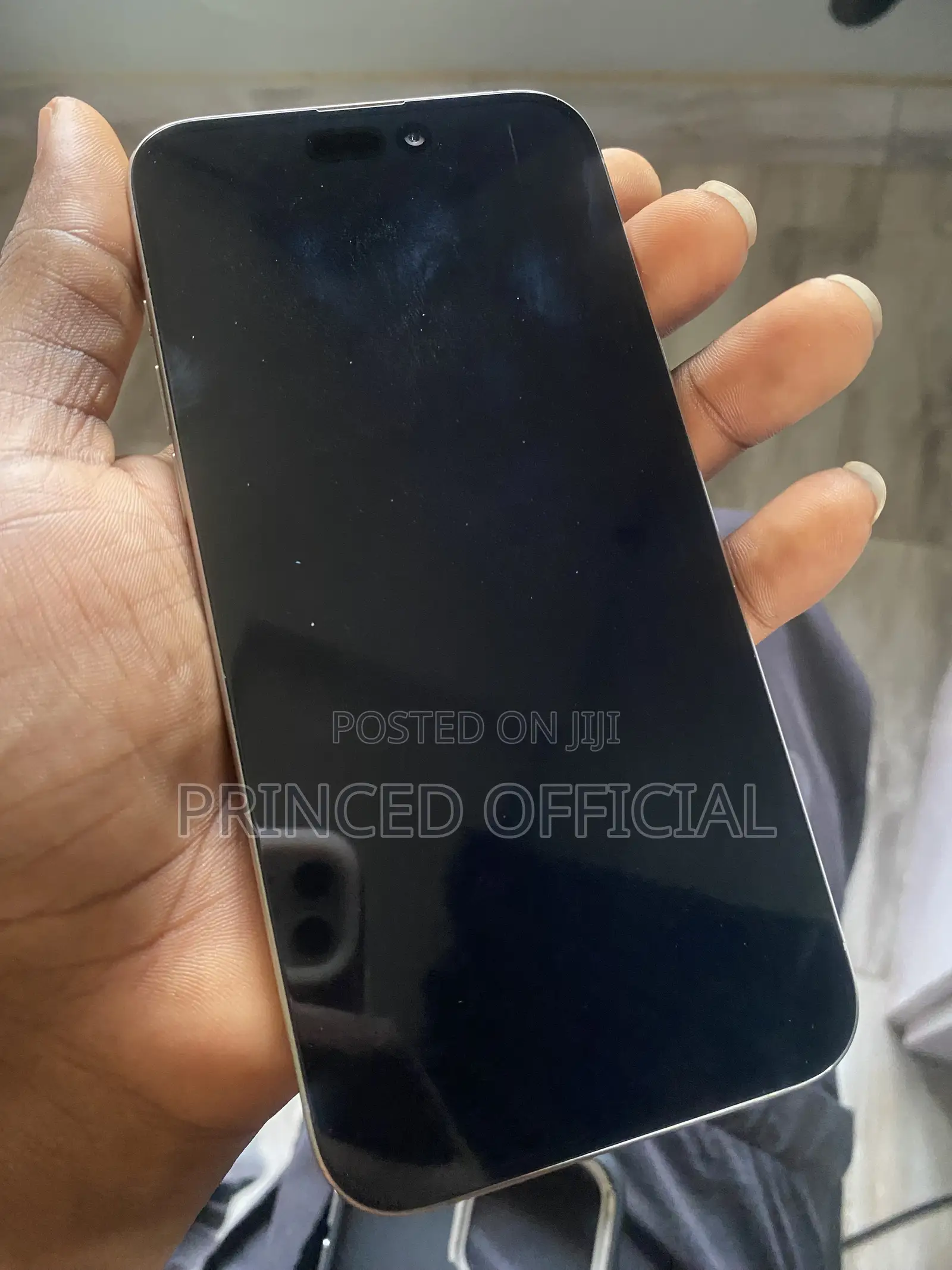 Apple iPhone 15 Pro Max 256 GB Silver