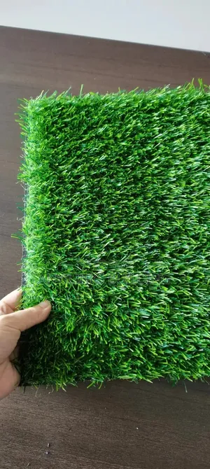 Garden Grass