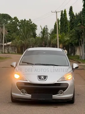 Peugeot 207 2009 Silver