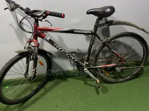 Personal Bicycle