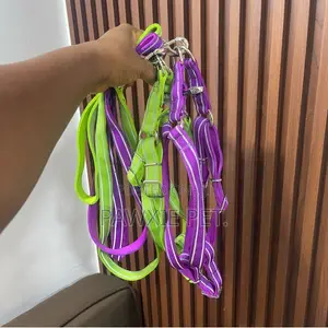 Colorful Reflective Padded Harness N Lead 2.0*120cm