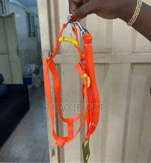Dog Favor Harness N Lead 1.5*120cm