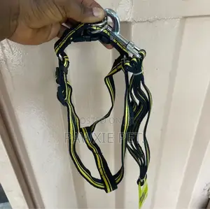 Dog Favour Double Stripe Harness N Lead 2.0*120cm