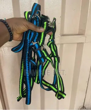 Dog Favour Flower Lead N Harness With Adjustable Stopper 1.2*120cm
