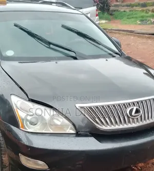 Lexus RX 2010 Gray