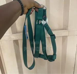 Laso Harness and Lead 2.6*120cm(L)