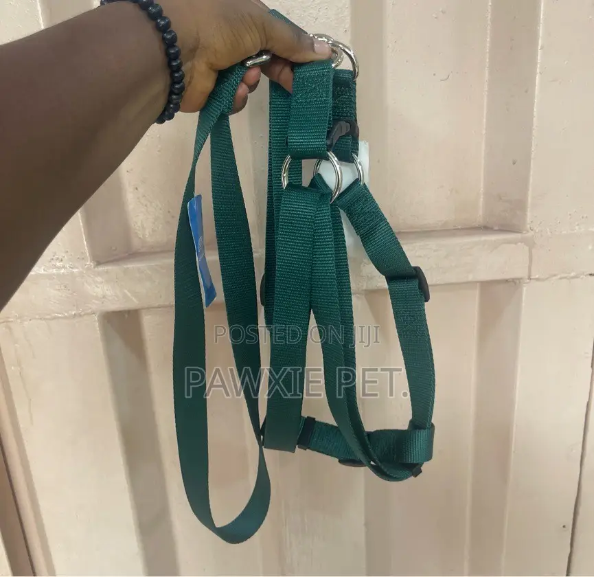 Laso Harness and Lead 2.6*120cm(L)