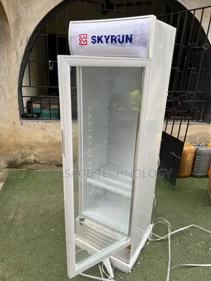 Skyrun SC228FN 228L Elegant Cooling Solution