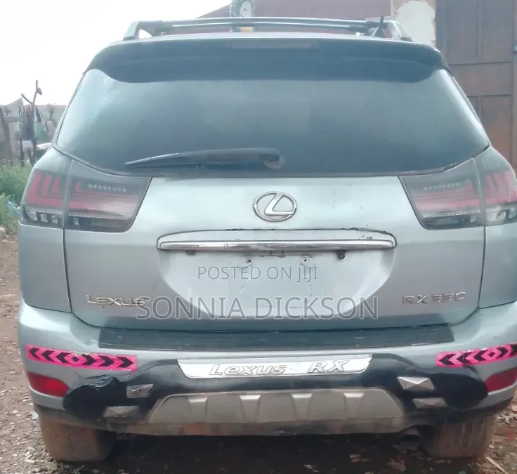 Lexus RX 2009 Silver