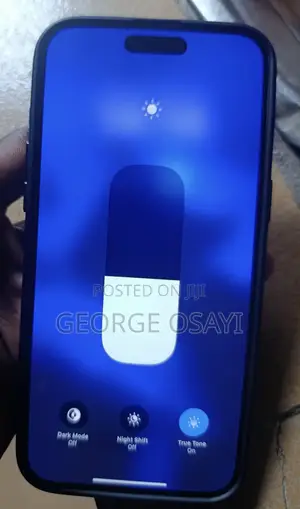 Apple iPhone 15 Pro Max 256 GB Gray