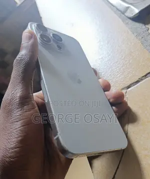 Apple iPhone 15 Pro Max 256 GB Gray