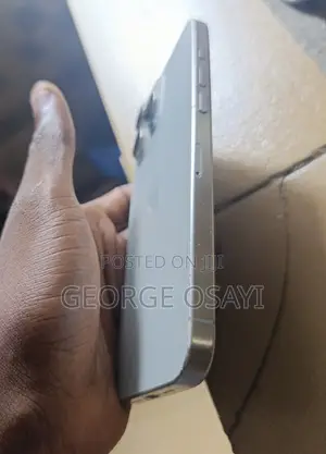 Apple iPhone 15 Pro Max 256 GB Gray