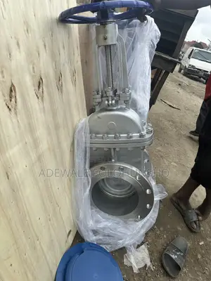 4” Stainless Gatevalve
