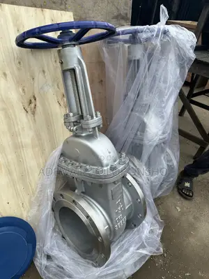4” Stainless Gatevalve