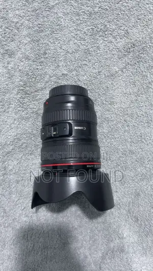 Canon EF 24-105mm F/4l IS USM