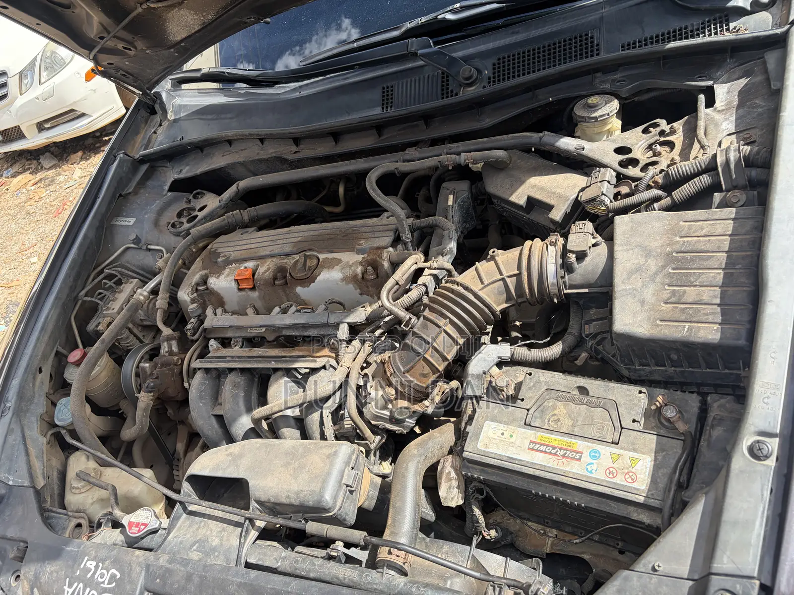 Honda Accord 2011 Gray