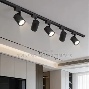 Track Light