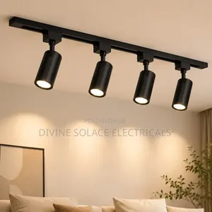 Track Light
