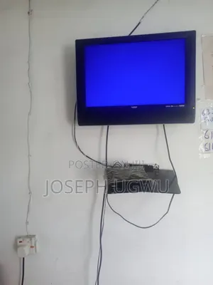 Goodmans TV