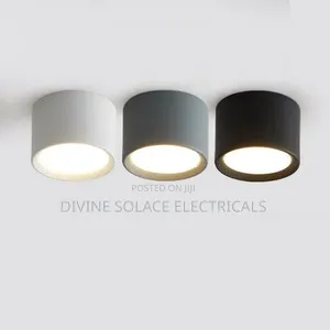 Ceiling Light