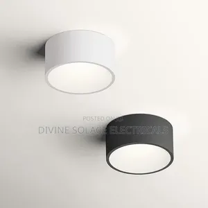 Ceiling Light