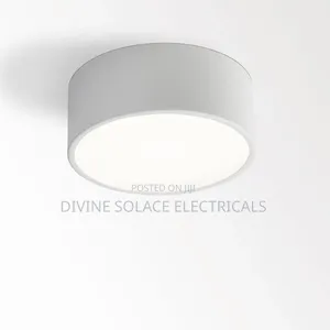 Ceiling Light