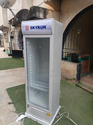 Energy Saving Skyrun SC-228FN Display Refrigerator