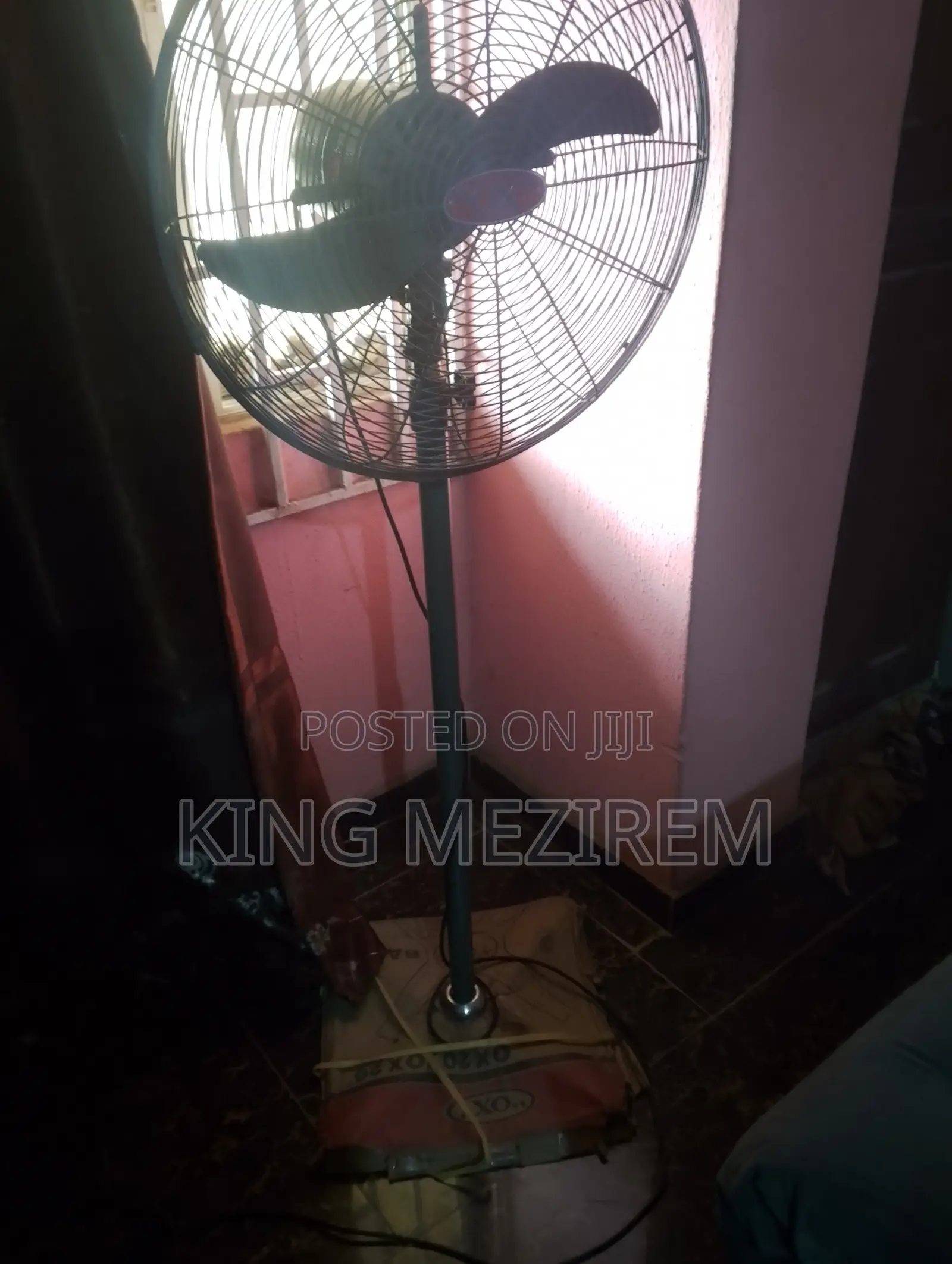 Ox Standing Fan