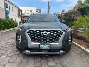 Hyundai Palisade 2021 Gray