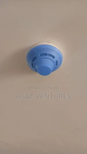 Professional Fire Alarm System Installer.