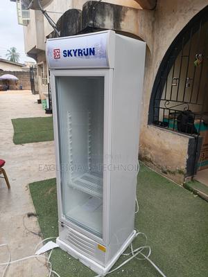 Internal LED Light Skyrun SC-228FN Display Cooler