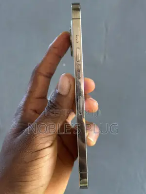 Apple iPhone 12 Pro Max 256 GB White