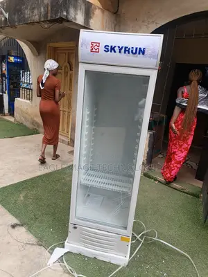 Smart Temperature Control Skyrun SC-228FN Chiller