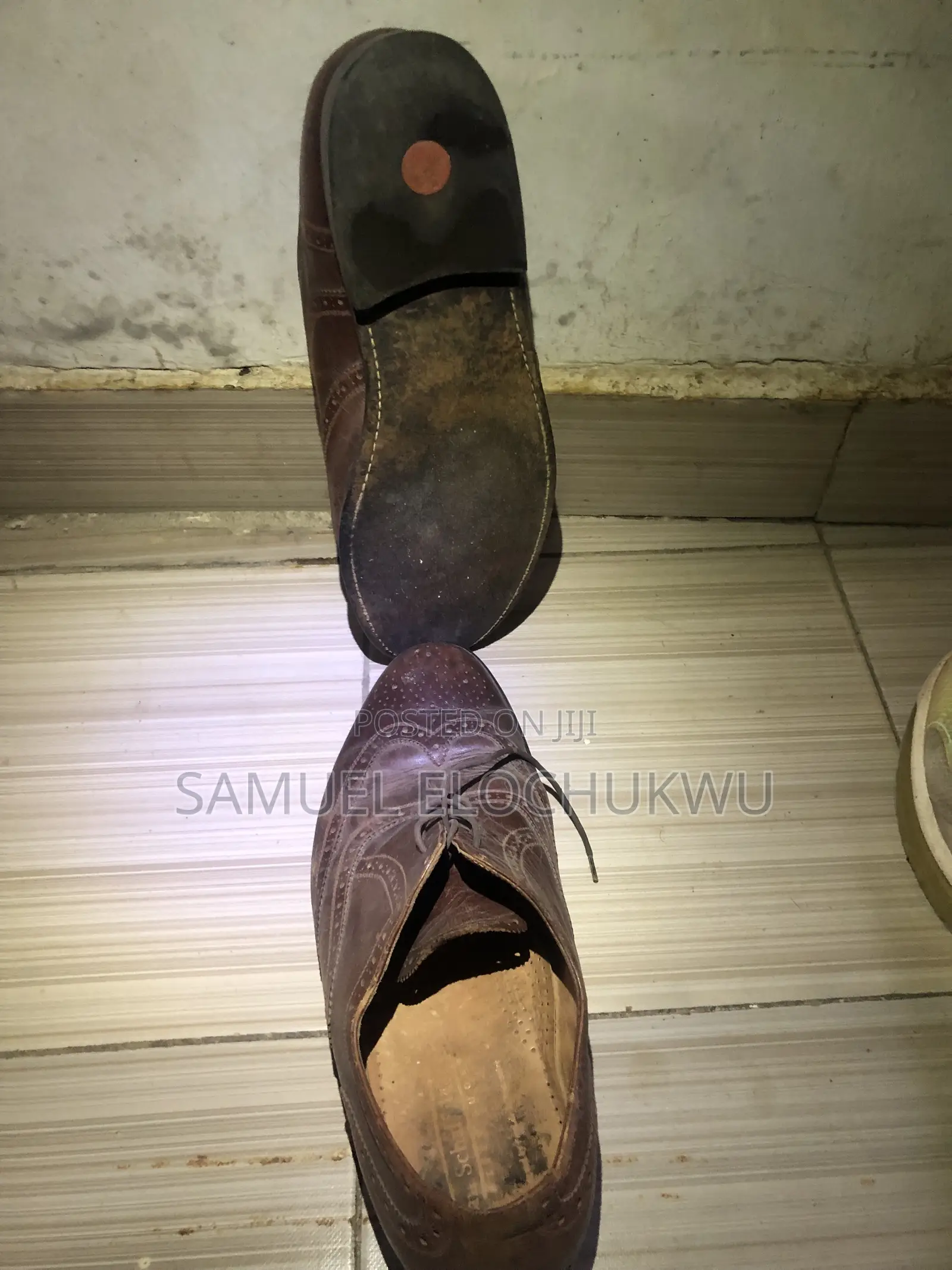 Canvas and Shoe