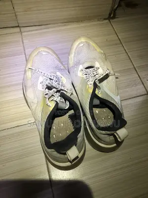 Canvas and Shoe
