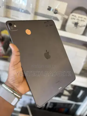 Apple iPad Pro 13 (2024) 256 GB Gray