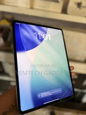 Apple iPad Pro 13 (2024) 256 GB Gray