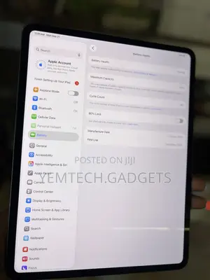 Apple iPad Pro 13 (2024) 256 GB Gray